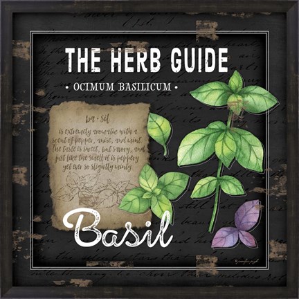 Framed Herb Guide Basil Print