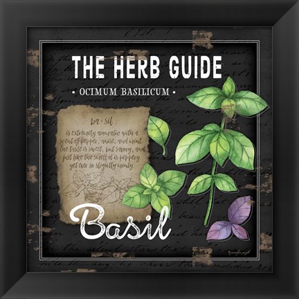 Framed Herb Guide Basil Print