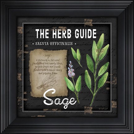 Framed Herb Guide Sage Print