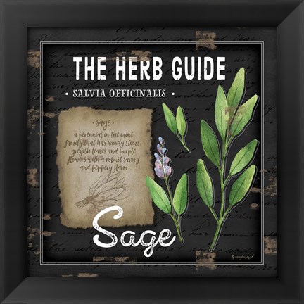 Framed Herb Guide Sage Print