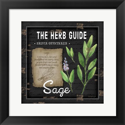 Framed Herb Guide Sage Print