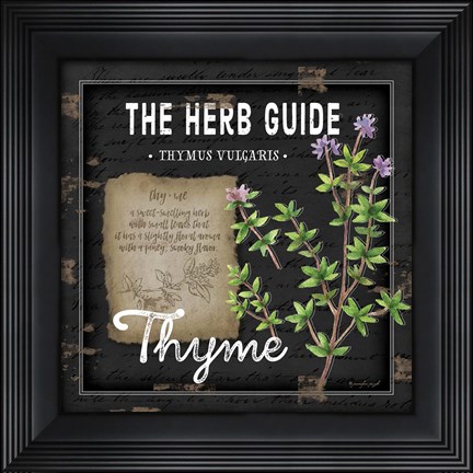 Framed Herb Guide Thyme Print