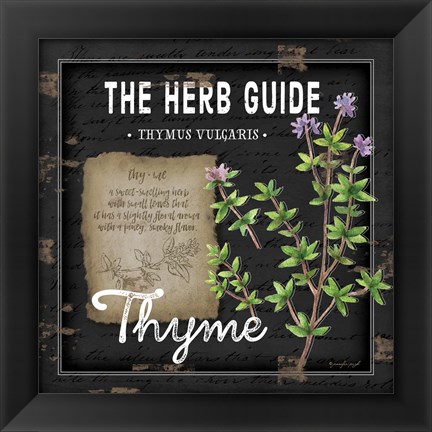 Framed Herb Guide Thyme Print