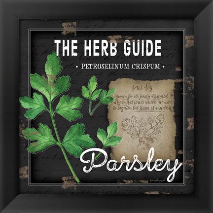 Framed Herb Guide Parsley Print