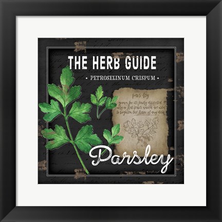 Framed Herb Guide Parsley Print