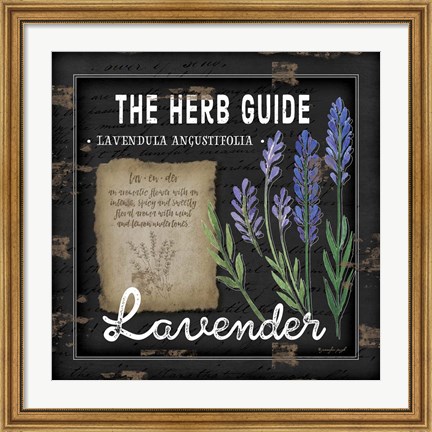 Framed Herb Guide Lavender Print