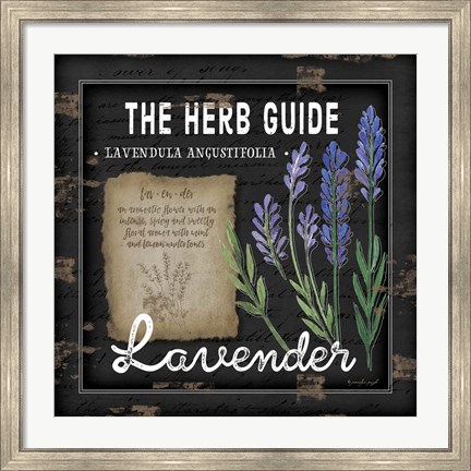 Framed Herb Guide Lavender Print