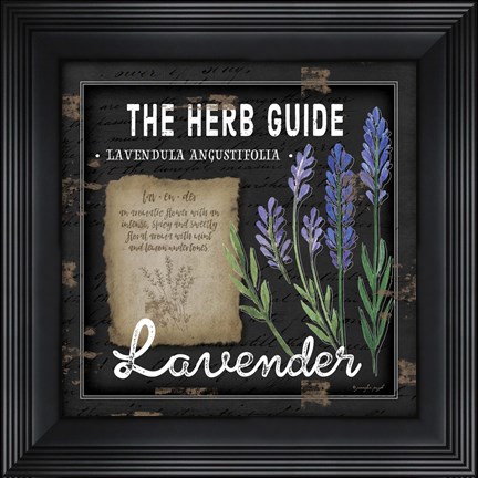 Framed Herb Guide Lavender Print
