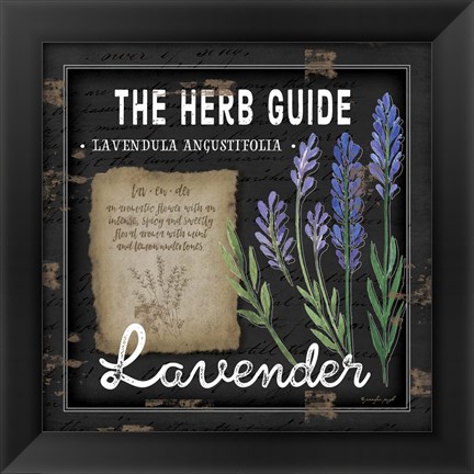 Framed Herb Guide Lavender Print