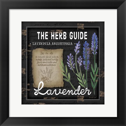 Framed Herb Guide Lavender Print