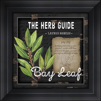 Framed Herb Guide Bay Leaf Print
