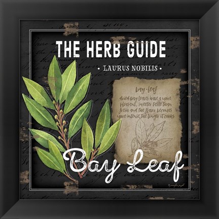 Framed Herb Guide Bay Leaf Print