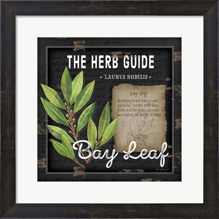 Framed Herb Guide Bay Leaf Print