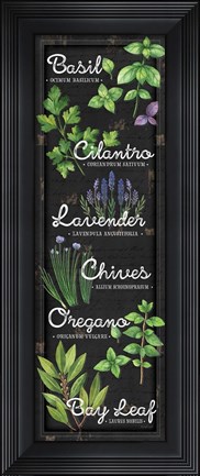 Framed Herbs II Print