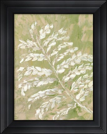 Framed Fern No. 1 Print