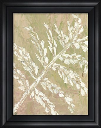 Framed Fern No. 2 Print