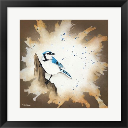 Framed Weathered Friends - Blue Jay Print