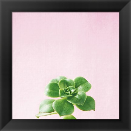 Framed Succulent Simplicity VII on Pink Print