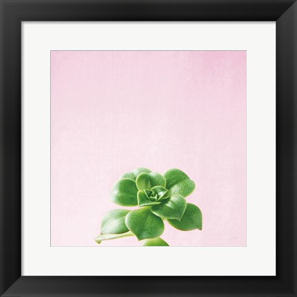 Framed Succulent Simplicity VII on Pink Print