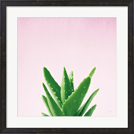 Framed Succulent Simplicity V on Pink Print