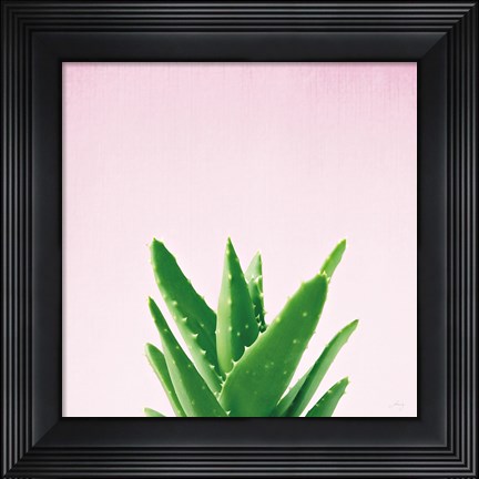 Framed Succulent Simplicity V on Pink Print