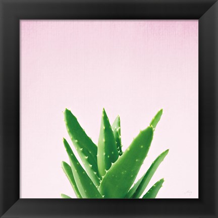 Framed Succulent Simplicity V on Pink Print