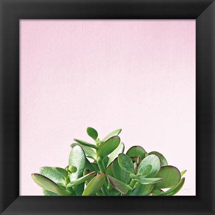 Framed Succulent Simplicity III on Pink Print