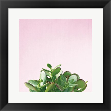 Framed Succulent Simplicity III on Pink Print