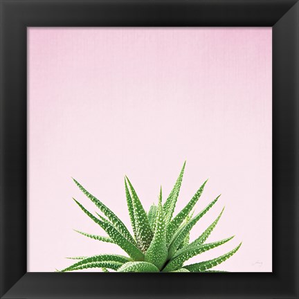 Framed Succulent Simplicity I on Pink Print