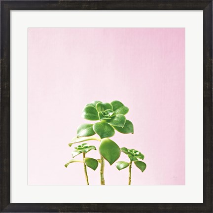 Framed Succulent Simplicity IX on Pink Print