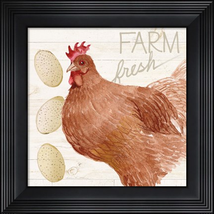 Framed Life on the Farm Chicken II Print