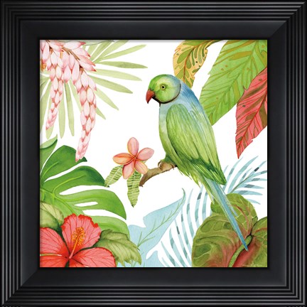 Framed Treasures of the Tropics VII Print