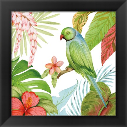 Framed Treasures of the Tropics VII Print