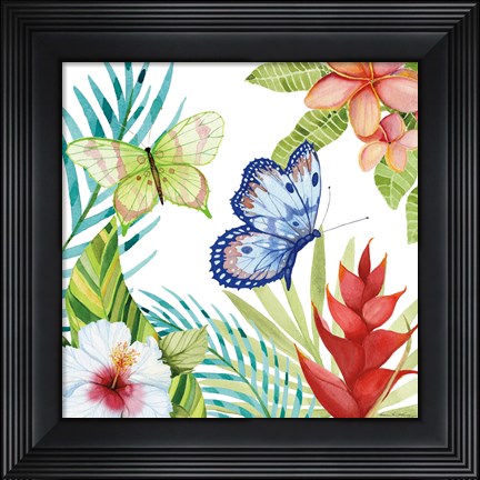 Framed Treasures of the Tropics VI Print