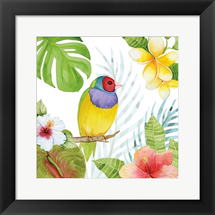 Framed Treasures of the Tropics V Print