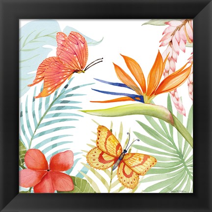 Framed Treasures of the Tropics IV Print