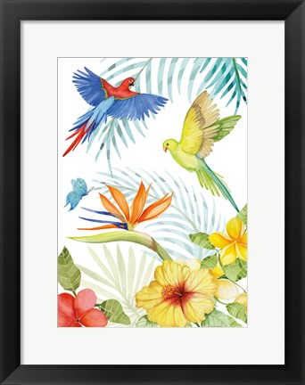 Framed Treasures of the Tropics II Print