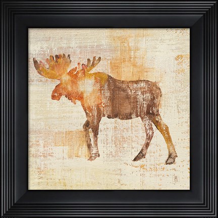 Framed Moose Study Print