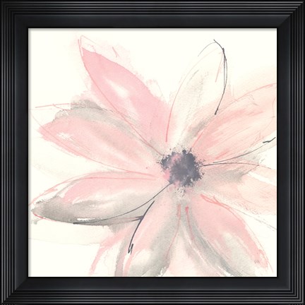 Framed Blush Clematis I Print