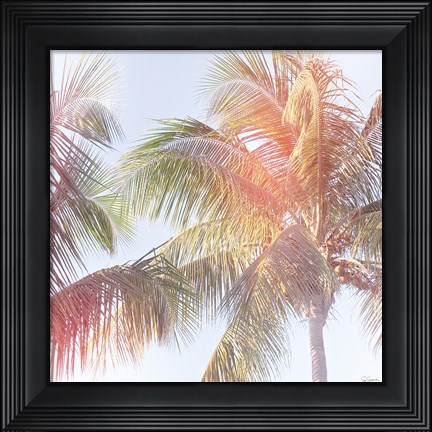 Framed Dream Palm III Print