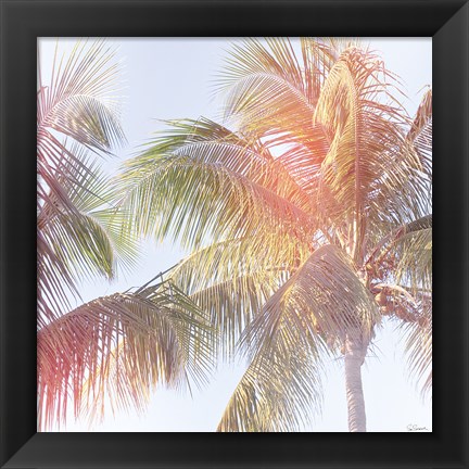 Framed Dream Palm III Print