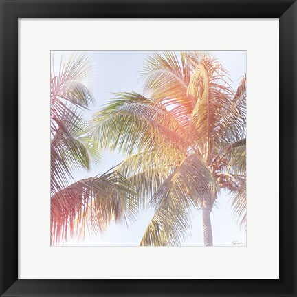 Framed Dream Palm III Print