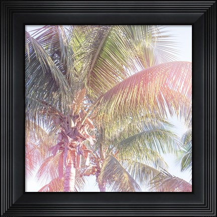 Framed Dream Palm II Print