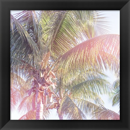 Framed Dream Palm II Print