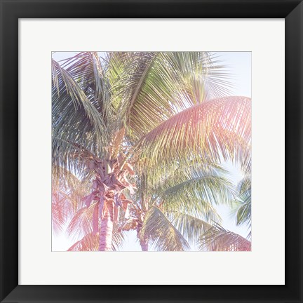 Framed Dream Palm II Print