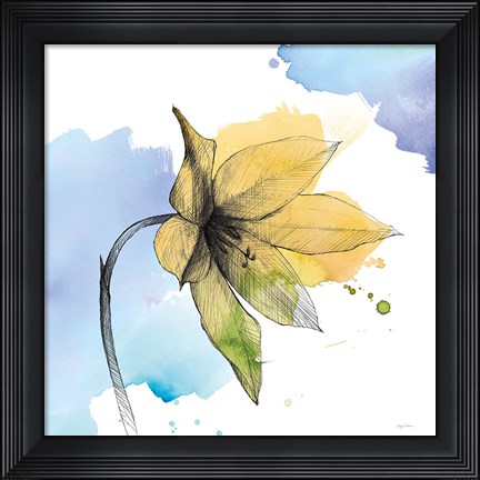 Framed Watercolor Graphite Flower VIII Print