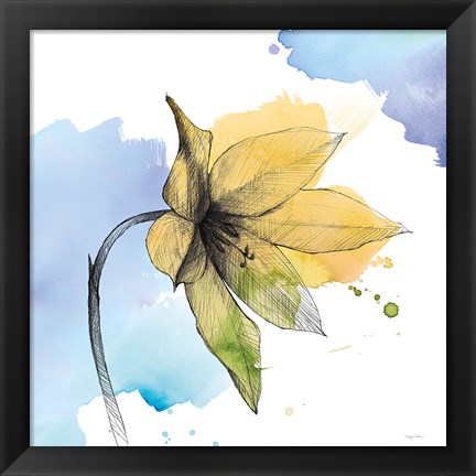 Framed Watercolor Graphite Flower VIII Print