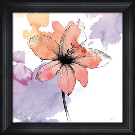 Framed Watercolor Graphite Flower II Print