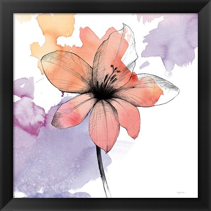 Framed Watercolor Graphite Flower II Print