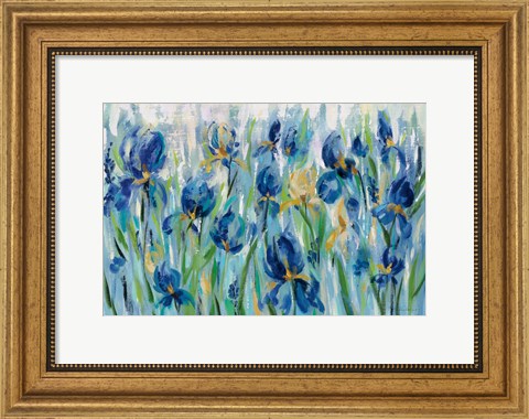 Framed Iris Flower Bed Print